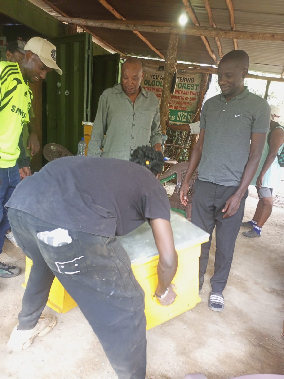 Beekeeping Activity