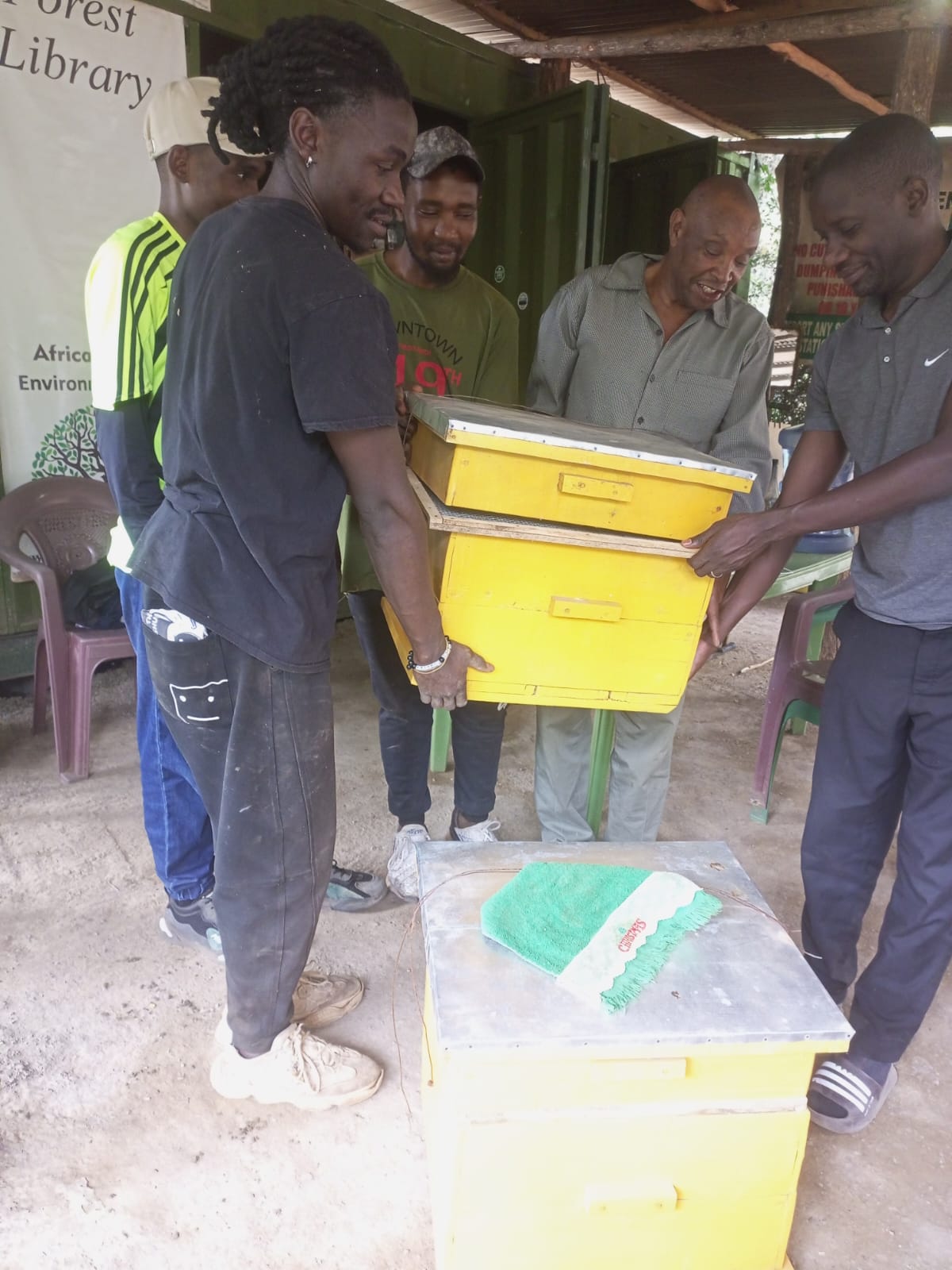 Beekeeping Activity