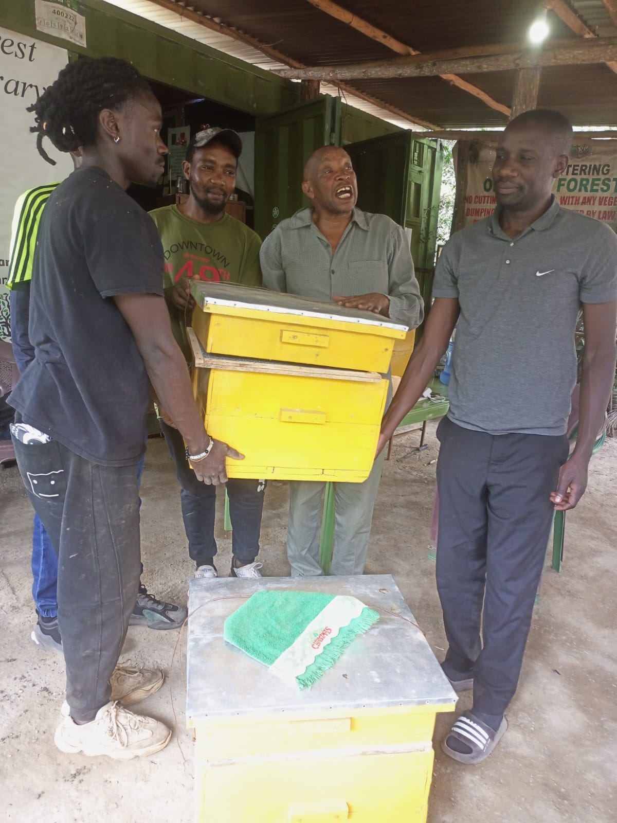 Beekeeping Activity