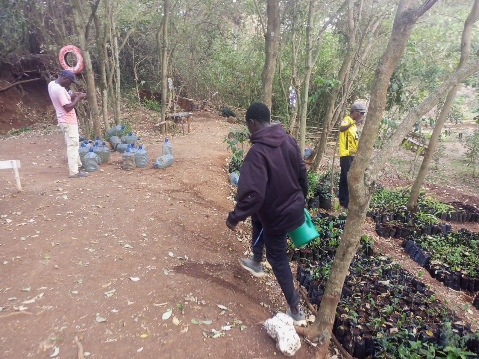 Beekeeping Activity