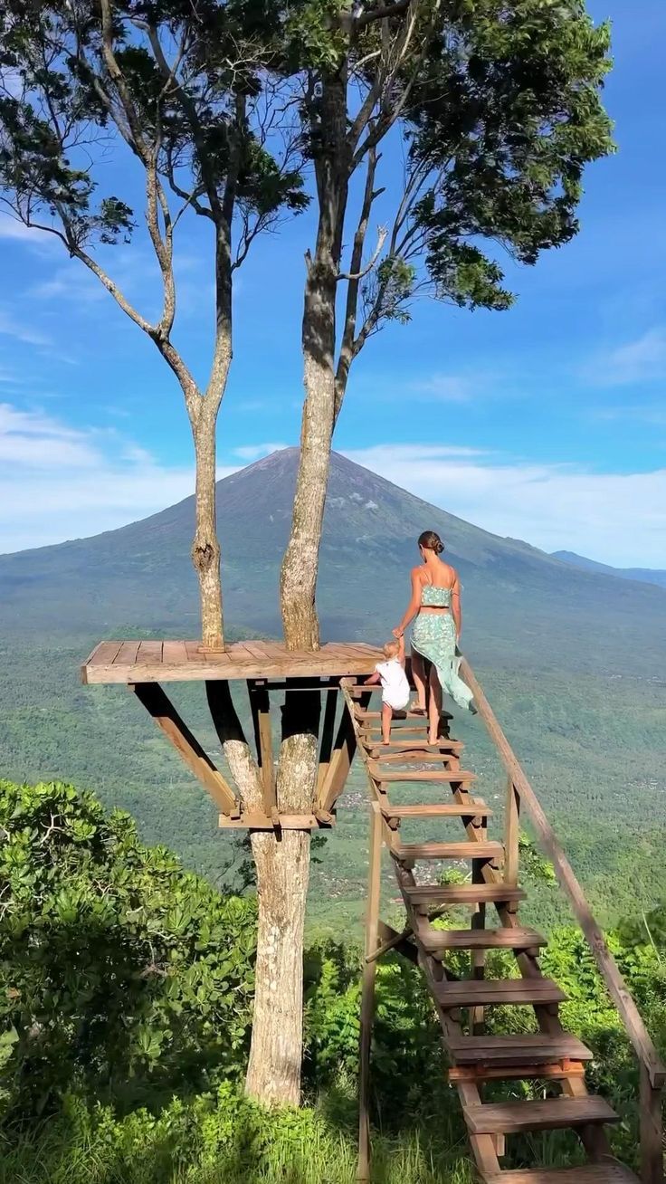 Canopy Viewing Deck