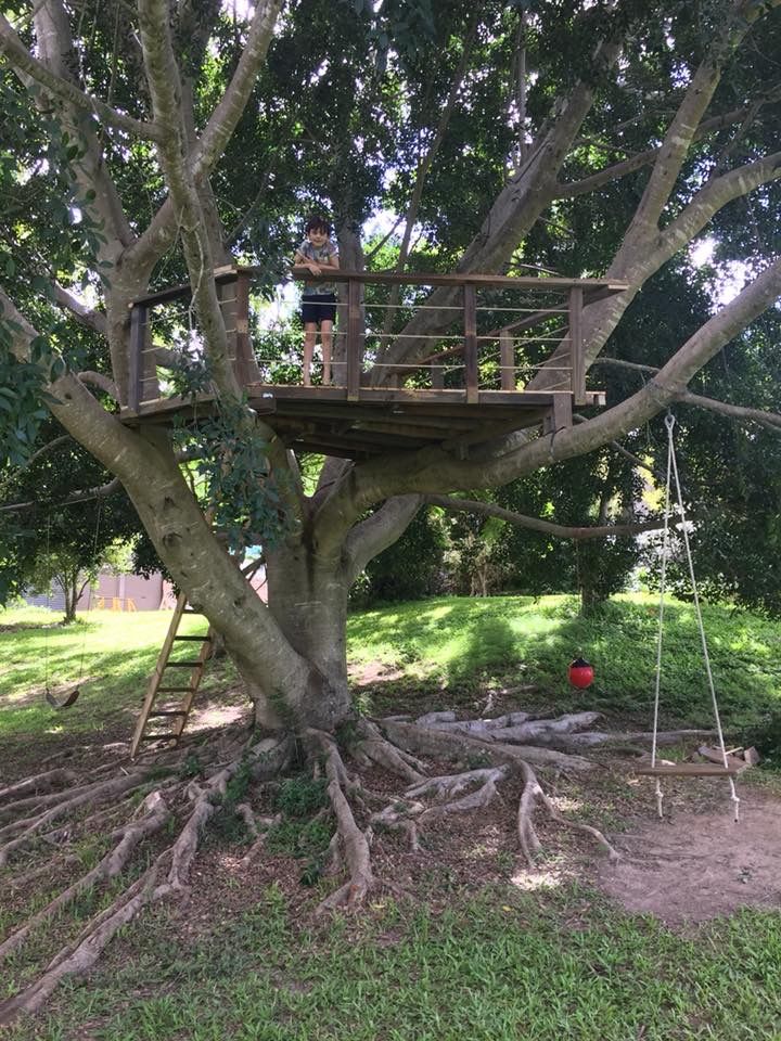 Treehouse & Play Area