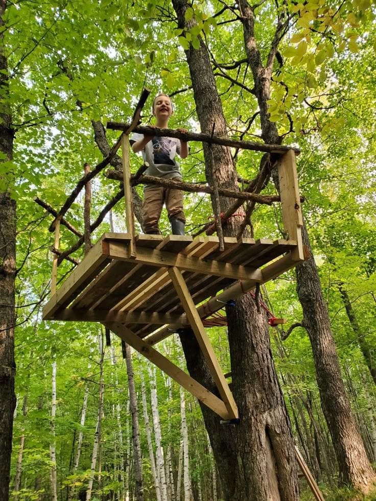 Tree Observation Platform