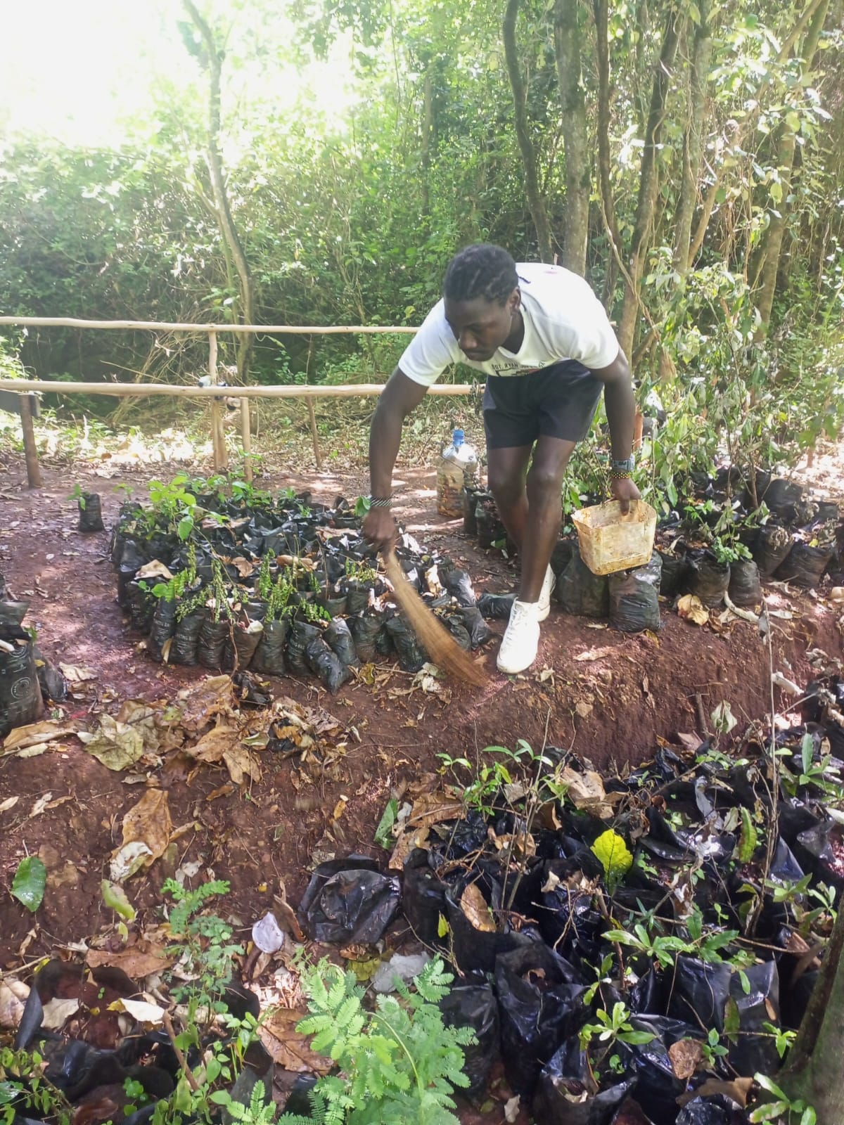 Oloolua Forest photo 4