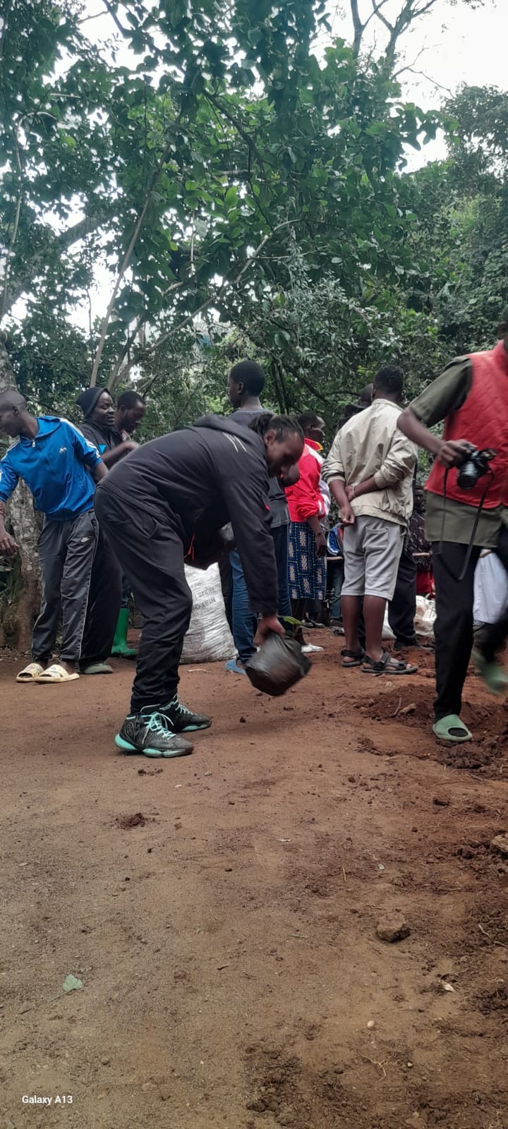 Tree planting